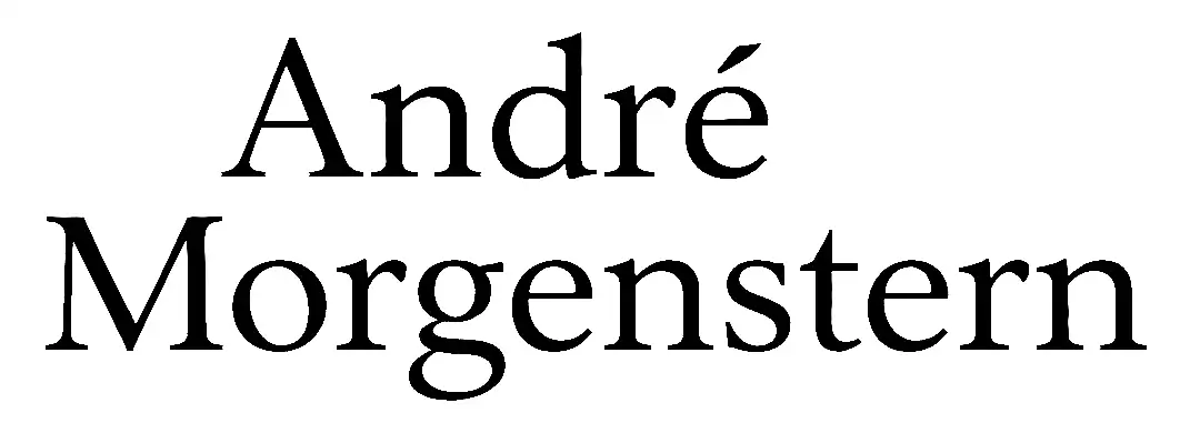 Andre Morgenstern